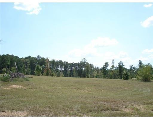 0 Mundy Loop Colfax, LA 71417 - Photo 2 of 7 Gallery Image 2