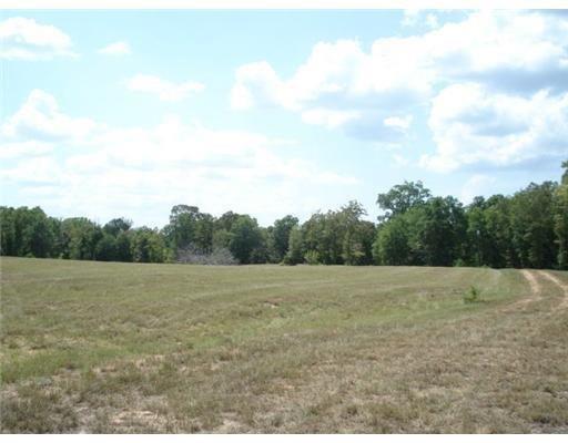 0 Mundy Loop Colfax, LA 71417 - Photo 4 of 7 Gallery Image 4