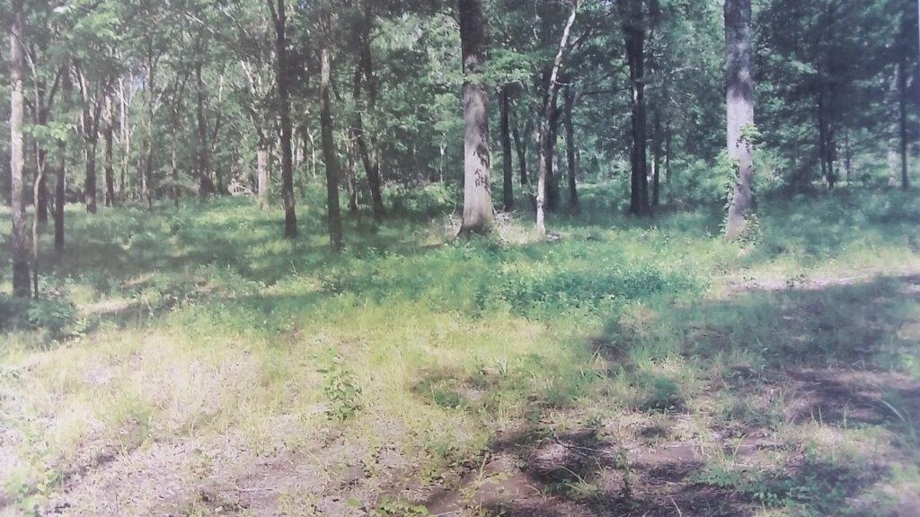 0 Mundy Loop Colfax, LA 71417 - Photo 5 of 7 Gallery Image 5