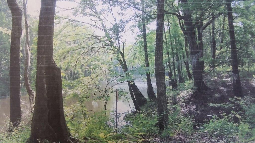 0 Mundy Loop Colfax, LA 71417 - Photo 7 of 7 Gallery Image 7