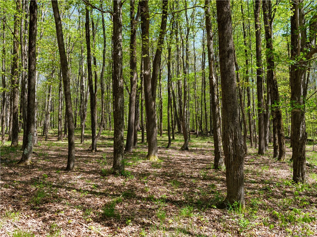Sanly Road Franklin, NY 13775 - Photo 5 of 13