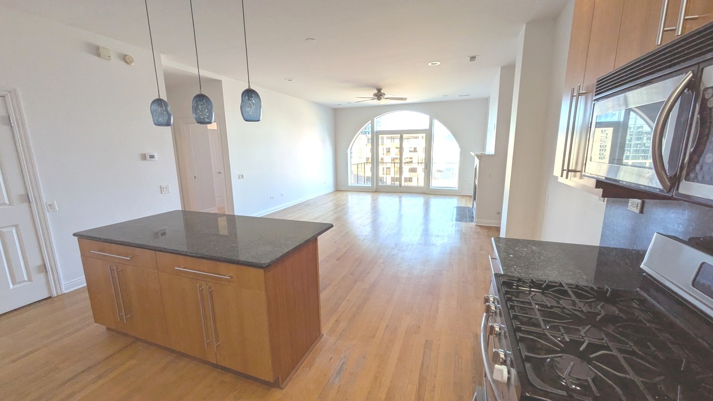 1355 West Washington Boulevard, Unit 6B Chicago, IL 60607 - Photo 5 of 28 a kitchen with stainless steel appliances granite countertop a stove a sink and a refrigerator with wooden floor