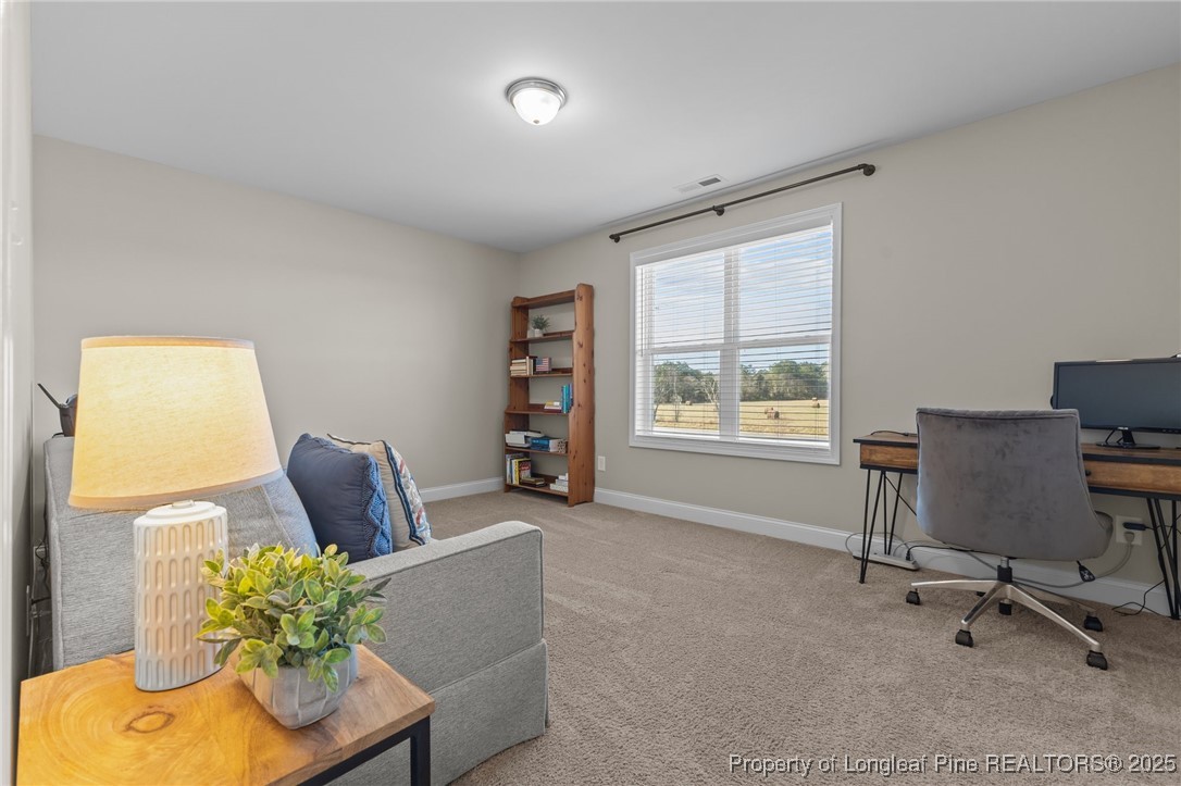 9106 East Reeves Bridge Road Linden, NC 28356 - Photo 32 of 50 Gallery Image 32