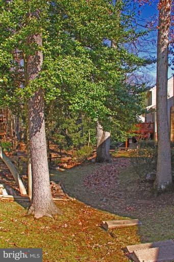 9911 Natick Road Burke, VA 22015 - Photo 26 of 26 Back yard
