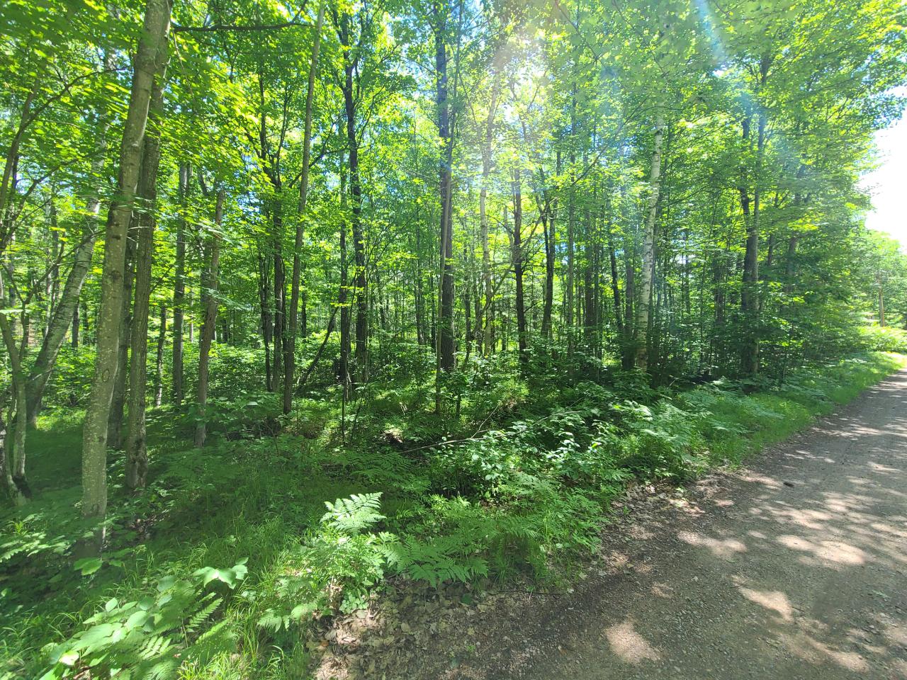 Lot 5 Sunrise Road Woodruff, WI 54568 - Photo 5 of 5 Gallery Image 5