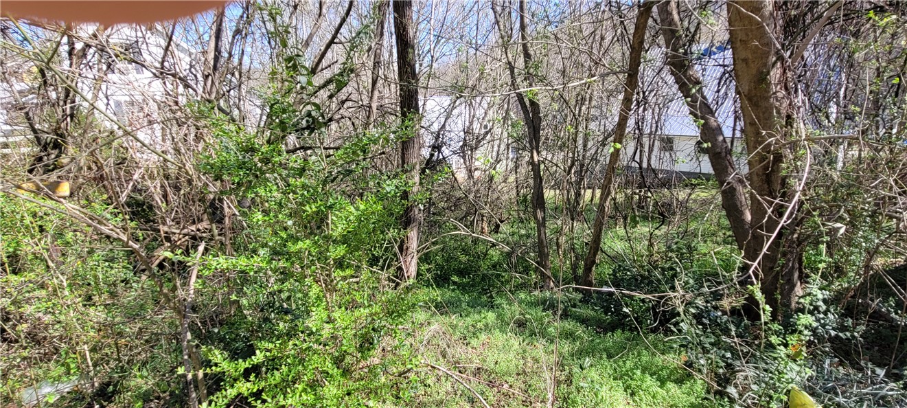 227 2nd Street Newry, SC 29672 - Photo 1 of 2 lot offers opportunity for single, double house for investment