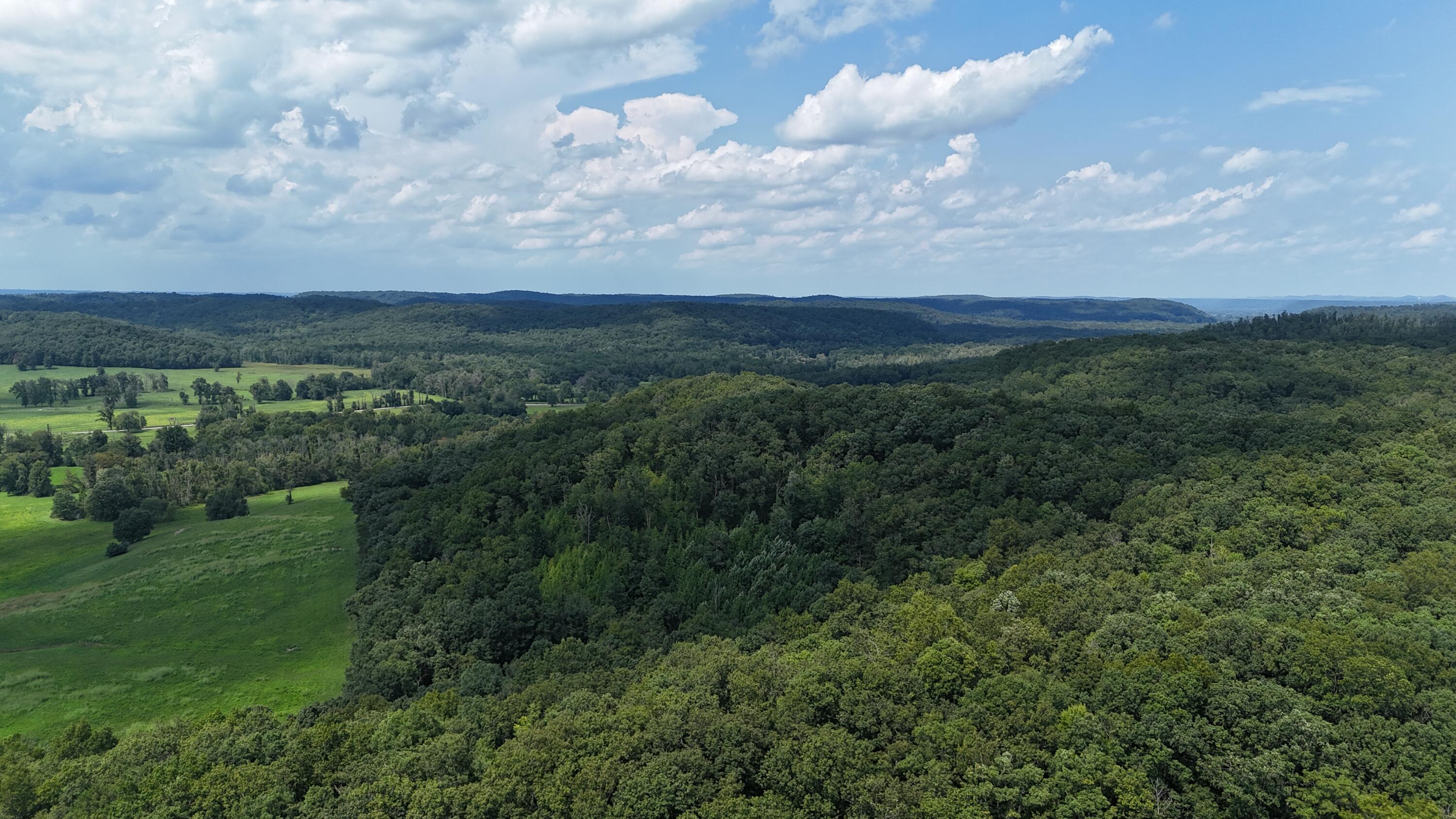 458 Pendleton Branch Road Salt Lick, KY 40371 - Photo 54 of 62 DJI_20260822135102_0042_D