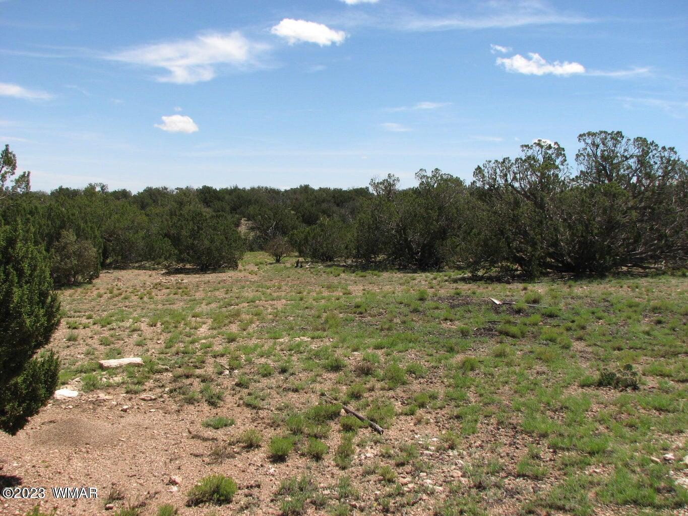 7 14n R17e: Se4 Sw4 Street Cibecue, AZ 85911 - Photo 1 of 2