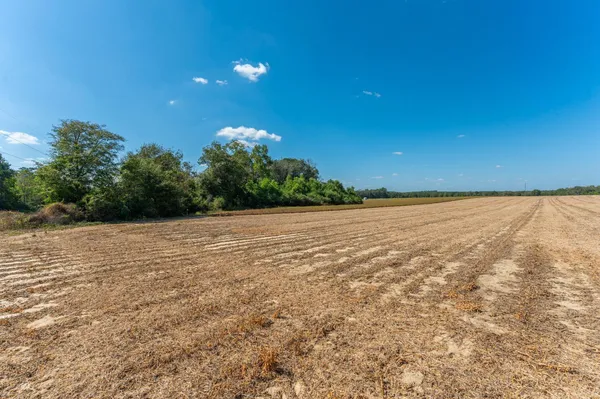 a view of a field with an ocean view