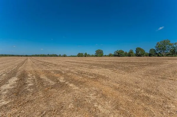 $44,900 | 4.91-f Acre Mcphail Farm Road, Florala, AL 36442