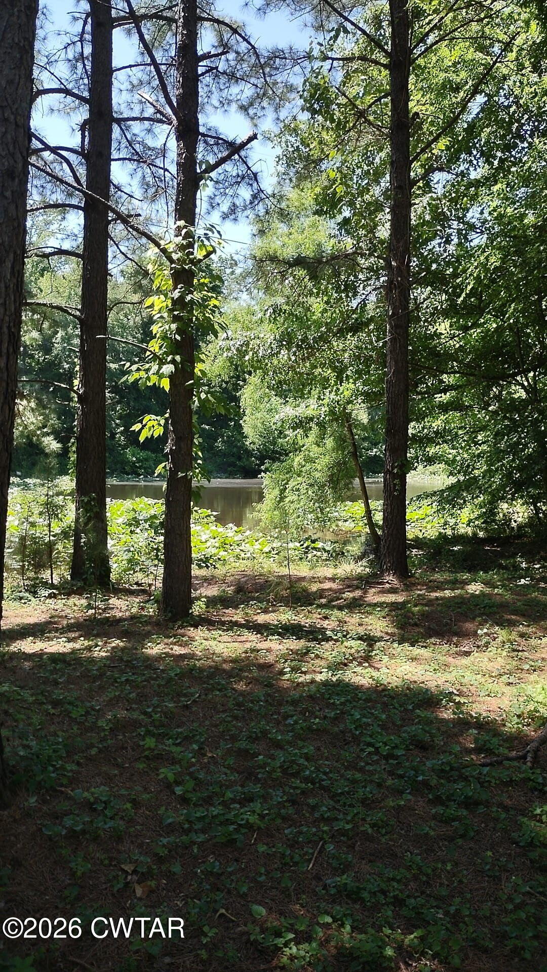 195 Ridge Road Medina, TN 38355 - Photo 2 of 14 a big yard with lots of green space and trees