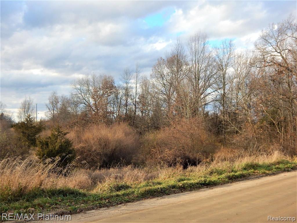 0 Bentley Lake Road Pinckney, MI 48169 - Photo 7 of 24