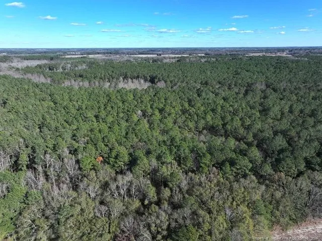 $90,000 | 130 Hwy Fairmont Nc 28340 Highway, Fairmont, NC 28340