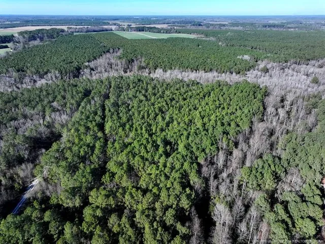 $90,000 | 130 Hwy Fairmont Nc 28340 Highway, Fairmont, NC 28340