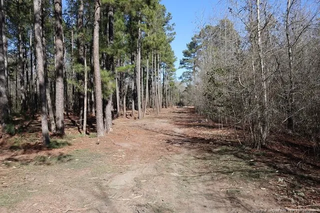 $90,000 | 130 Hwy Fairmont Nc 28340 Highway, Fairmont, NC 28340