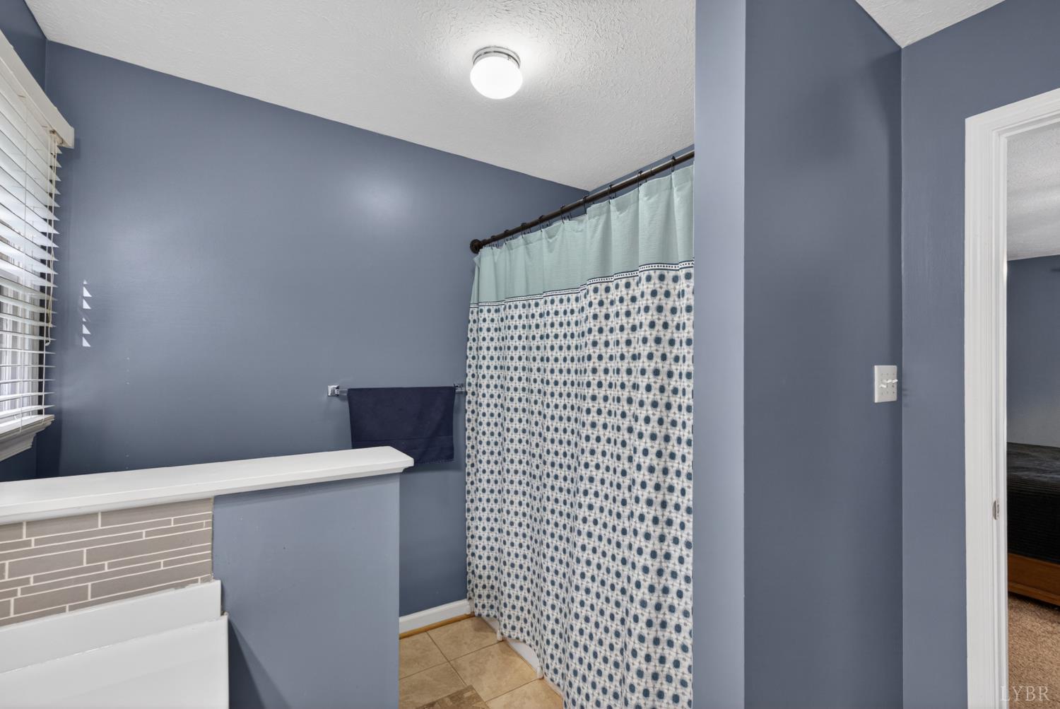 261 Blue Ridge Lane Amherst, VA 24521 - Photo 42 of 81 Gallery Image 42