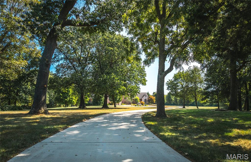 15964 Lageman Lane Brighton, IL 62012 - Photo 2 of 80