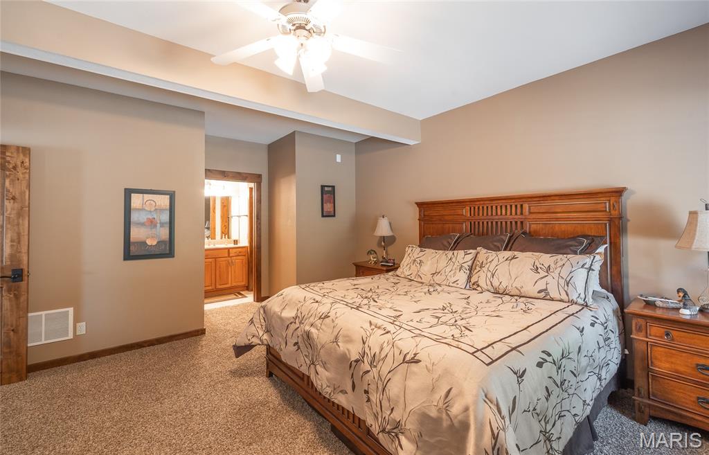 15964 Lageman Lane Brighton, IL 62012 - Photo 46 of 80