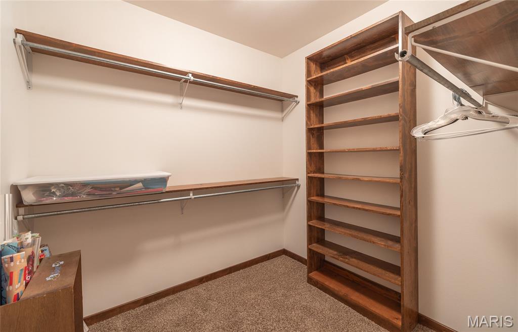 15964 Lageman Lane Brighton, IL 62012 - Photo 47 of 80