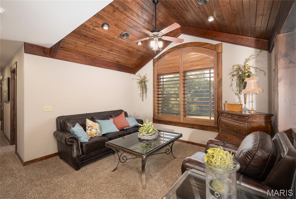 15964 Lageman Lane Brighton, IL 62012 - Photo 49 of 73