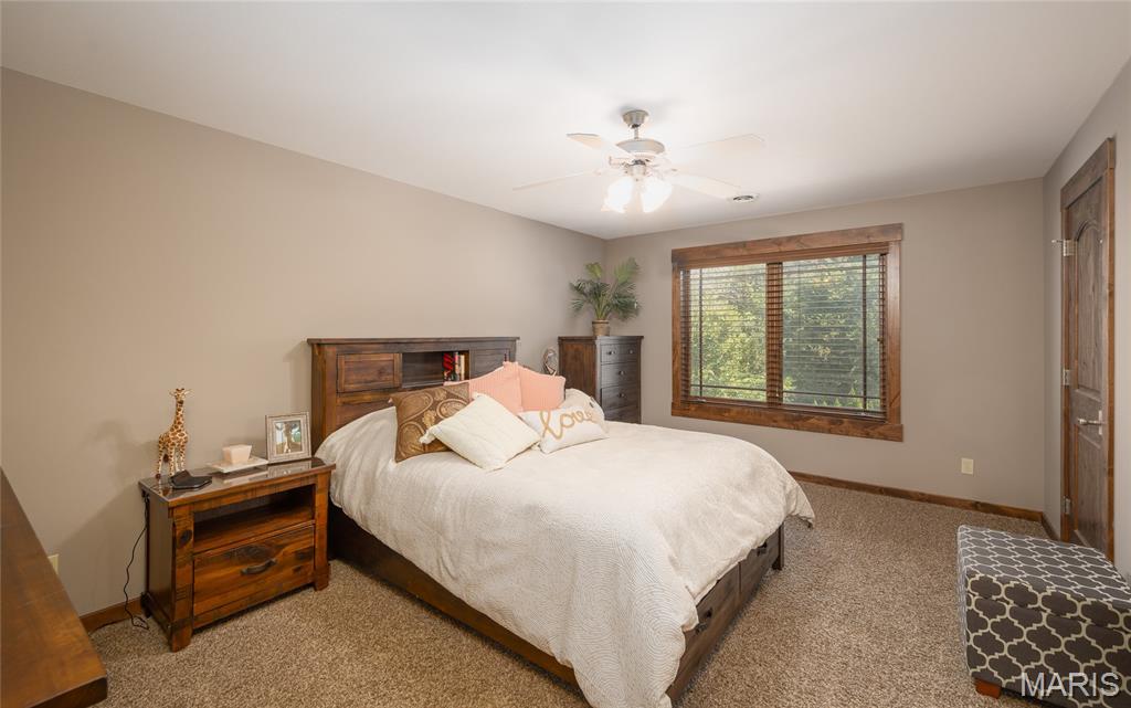 15964 Lageman Lane Brighton, IL 62012 - Photo 50 of 73