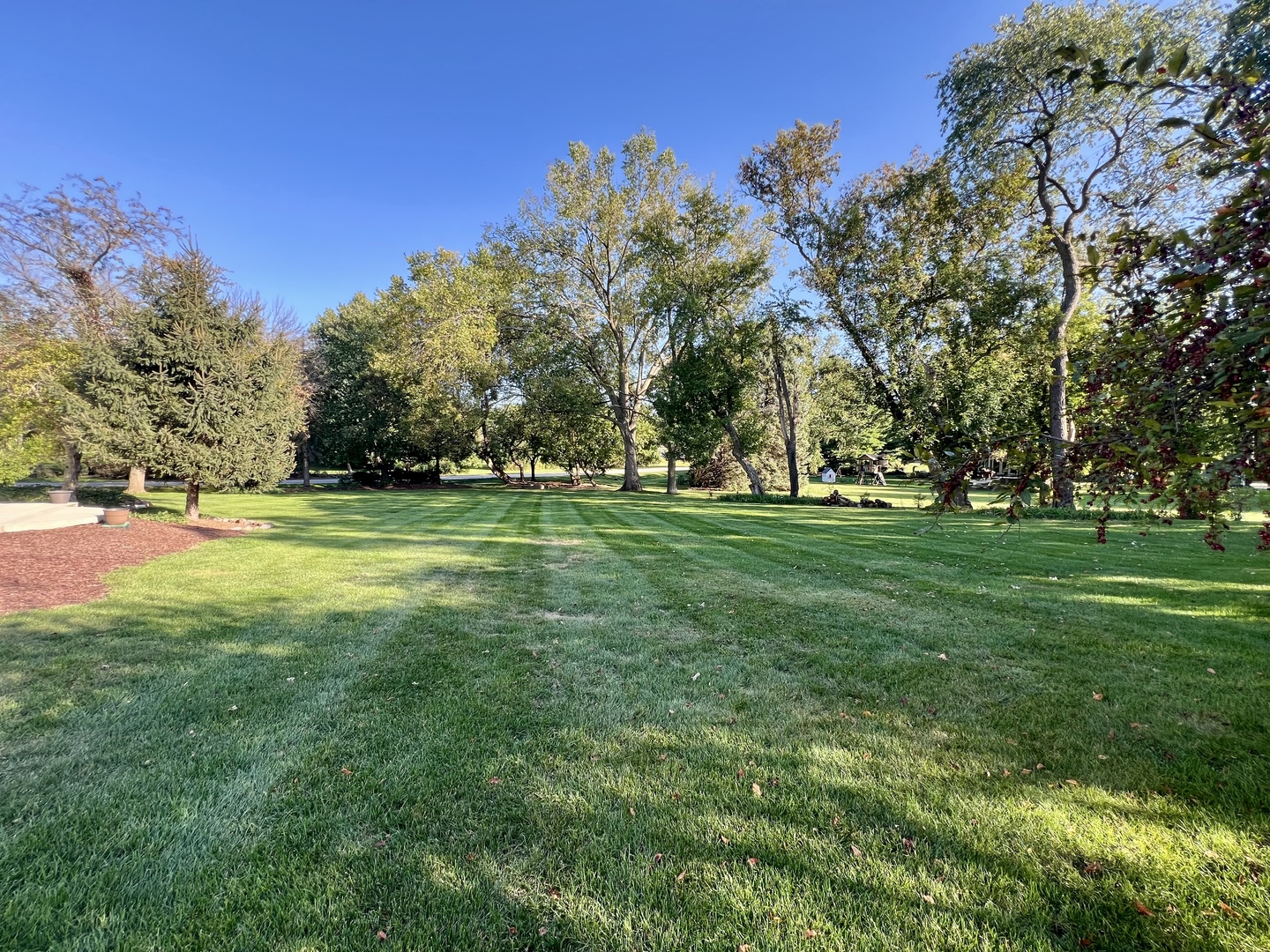 4111 Steeple Run Crystal Lake, IL 60014 - Photo 48 of 50 a view of a park with large trees