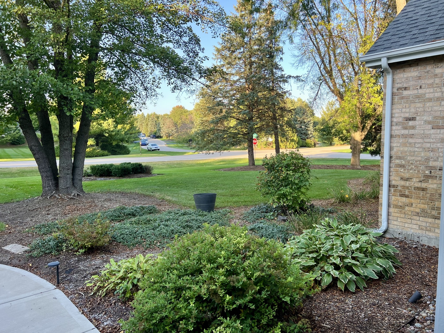 4111 Steeple Run Crystal Lake, IL 60014 - Photo 50 of 50 a view of a garden with large trees