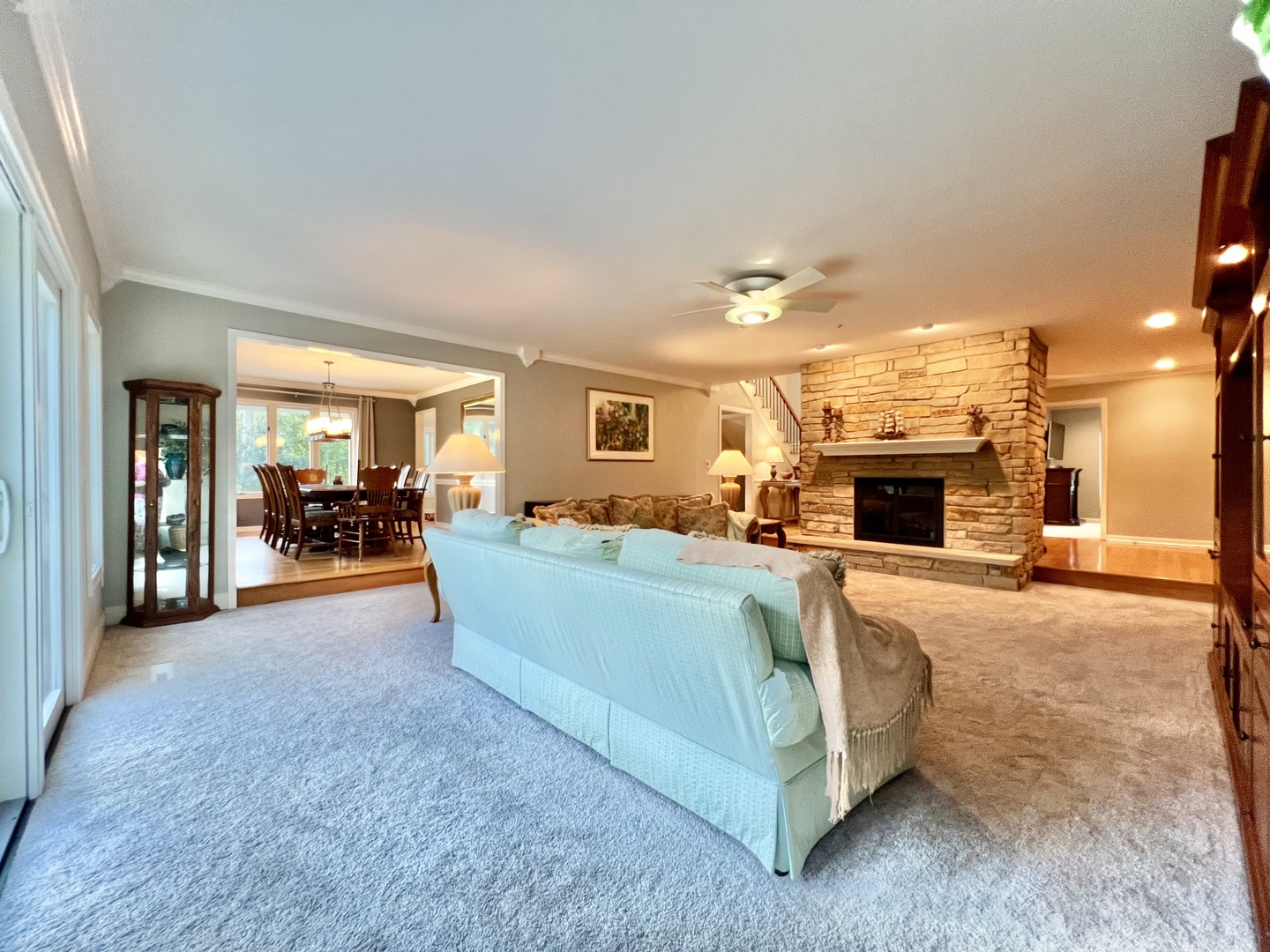 4111 Steeple Run Crystal Lake, IL 60014 - Photo 10 of 50 a living room with furniture and a fireplace