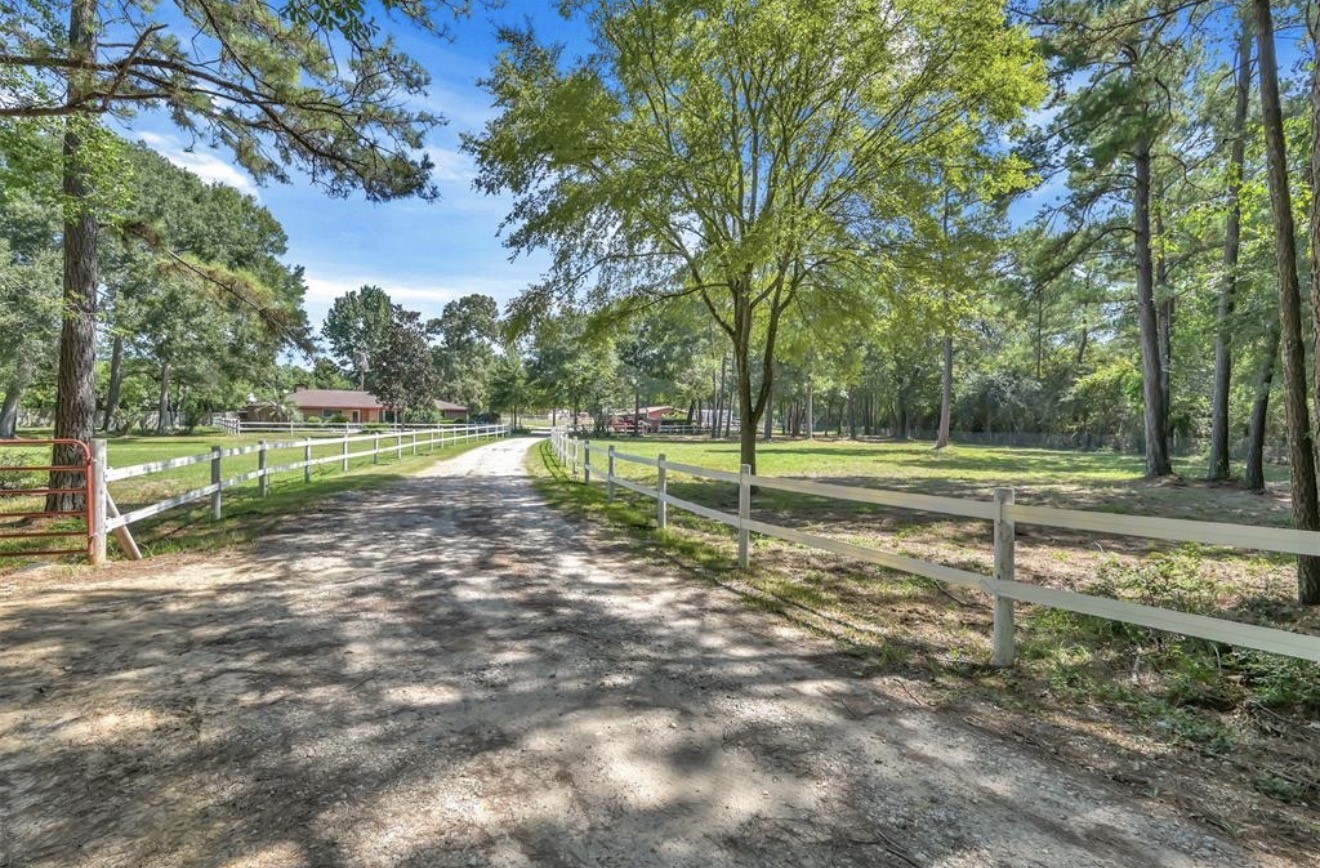 26768 B Dobbin-Huffsmith Road Magnolia, TX 77354 - Photo 20 of 21 a view of a park