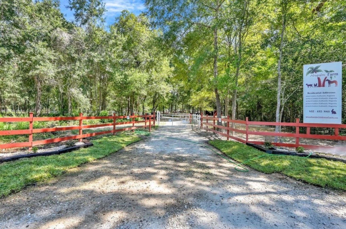 26768 B Dobbin-Huffsmith Road Magnolia, TX 77354 - Photo 4 of 21
