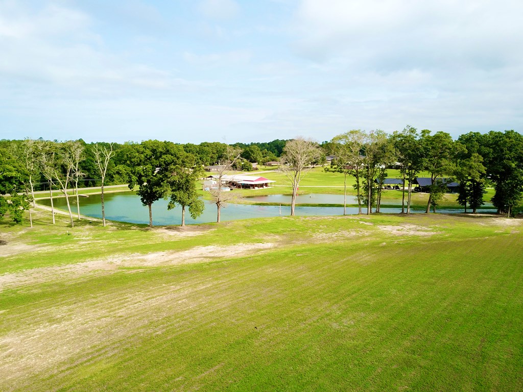 103 Slocomb Al Slocomb, AL 36375 - Photo 15 of 63