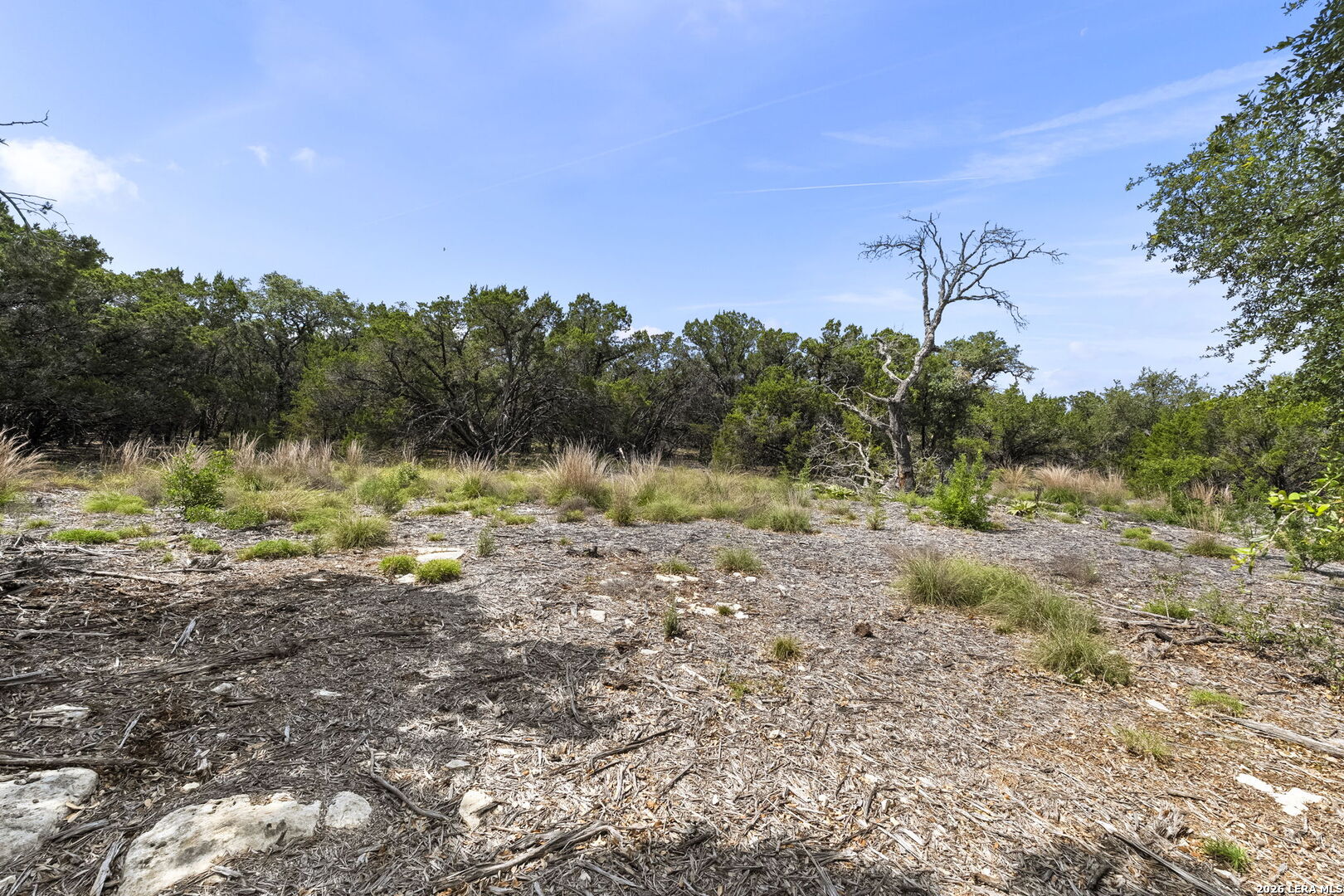 341 Mitchell Drive Spring Branch, TX 78070 - Photo 10 of 33