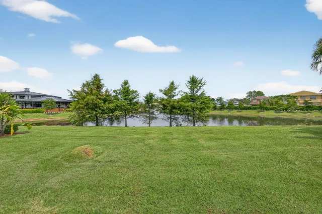 a view of a grassy field with trees