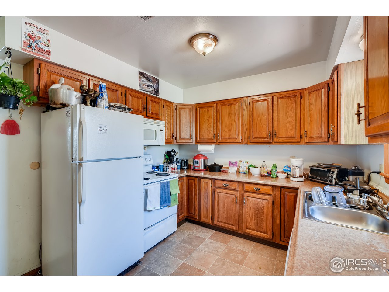817 Timber Lane Fort Collins, CO 80521 - Photo 8 of 24 Gallery Image 8