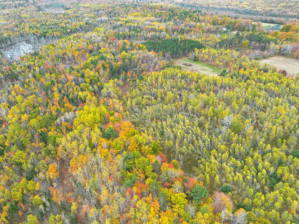 1-352 Stream Road Ripley, ME 04930 - Photo 19 of 19 20_DJI_0895_DxO_mls