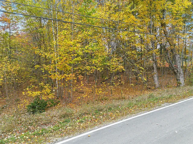 $50,000 | 1-352 Stream Road, Ripley, ME 04930