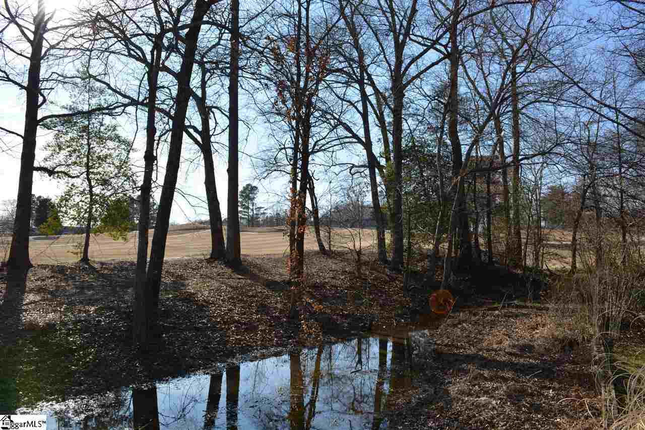 3106 Bethel Road, Unit 72 Simpsonville, SC 29681 - Photo 3 of 25 Gallery Image 3