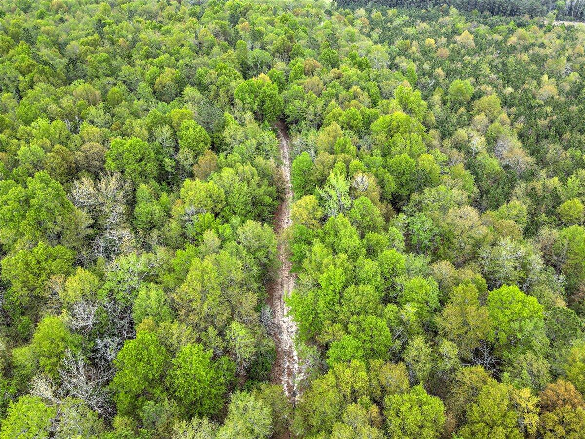 0 Millers Pond Road, Unit LOT 6 Salley, SC 29137 - Photo 9 of 12