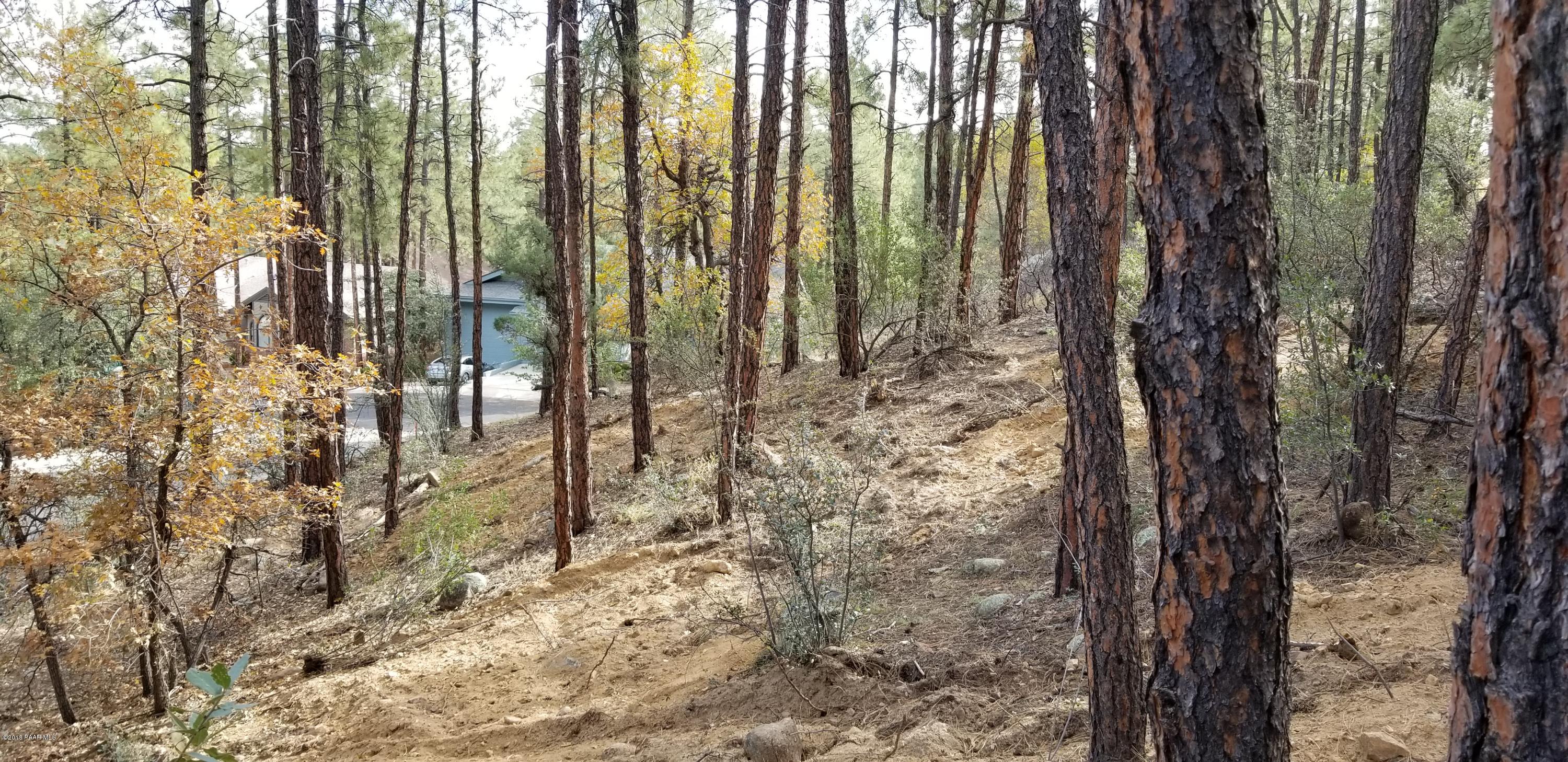 1161 West Timber Ridge Road Prescott, AZ 86303 - Photo 1 of 23 20181029_100631