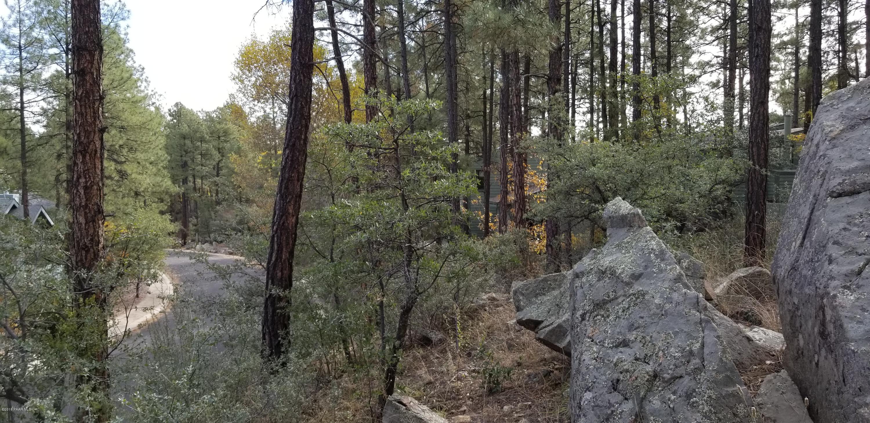 1161 West Timber Ridge Road Prescott, AZ 86303 - Photo 12 of 23 20181029_100928