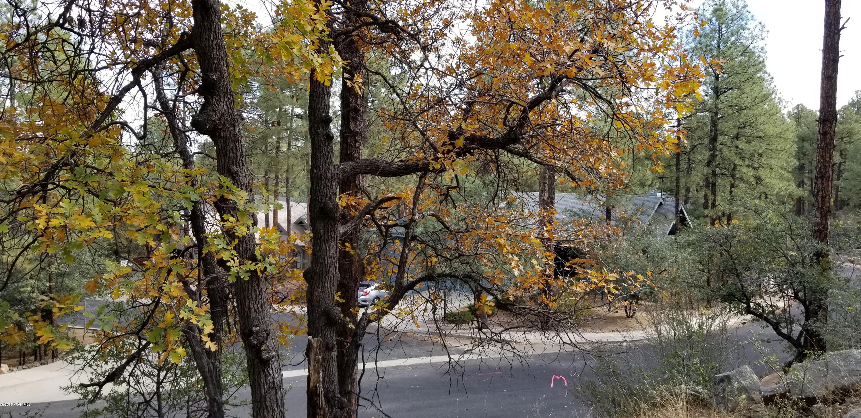 1161 West Timber Ridge Road Prescott, AZ 86303 - Photo 13 of 23 20181029_100942