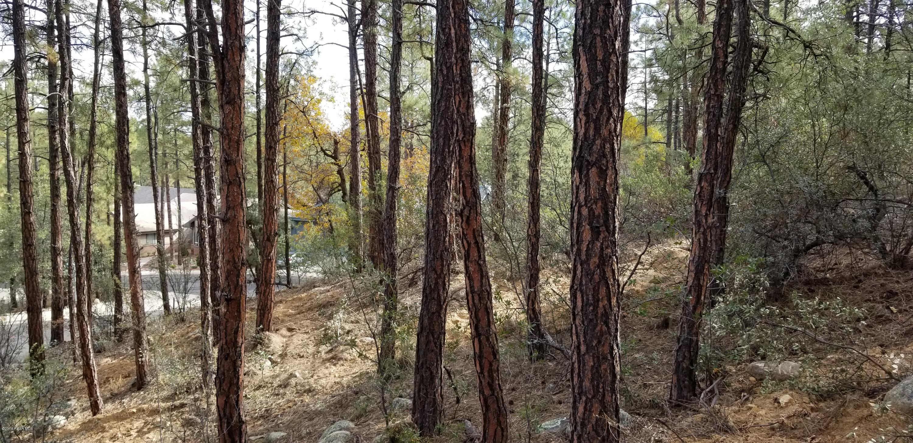 1161 West Timber Ridge Road Prescott, AZ 86303 - Photo 5 of 23 20181029_100642