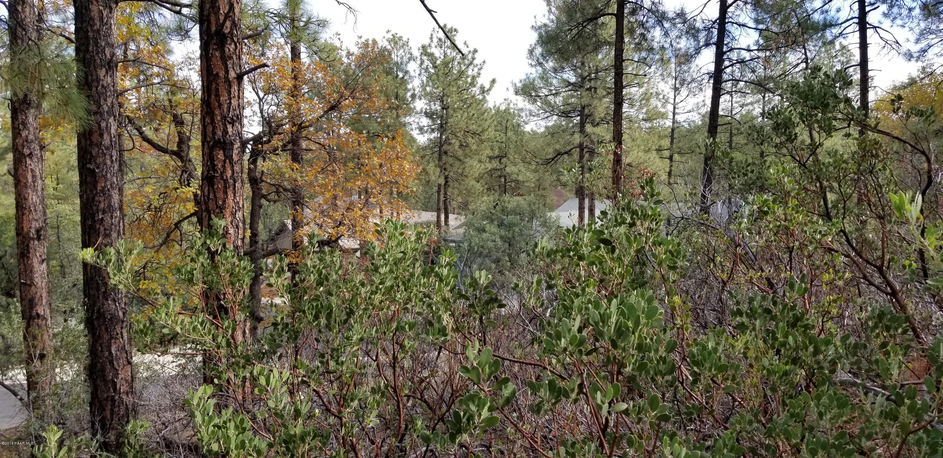 1161 West Timber Ridge Road Prescott, AZ 86303 - Photo 6 of 23 20181029_100743