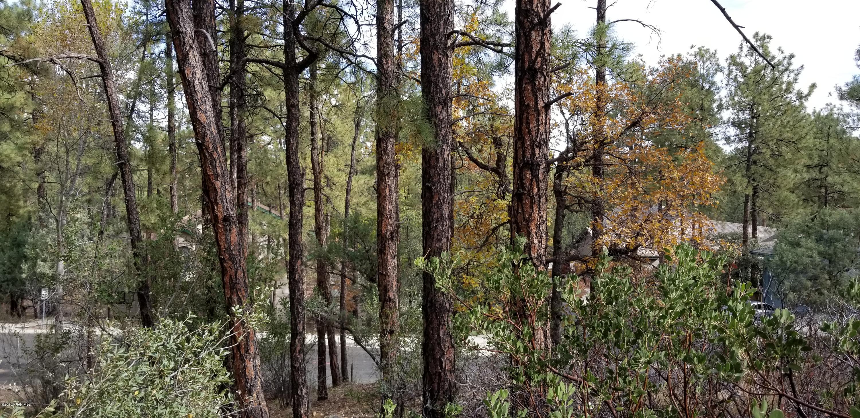 1161 West Timber Ridge Road Prescott, AZ 86303 - Photo 7 of 23 20181029_100748