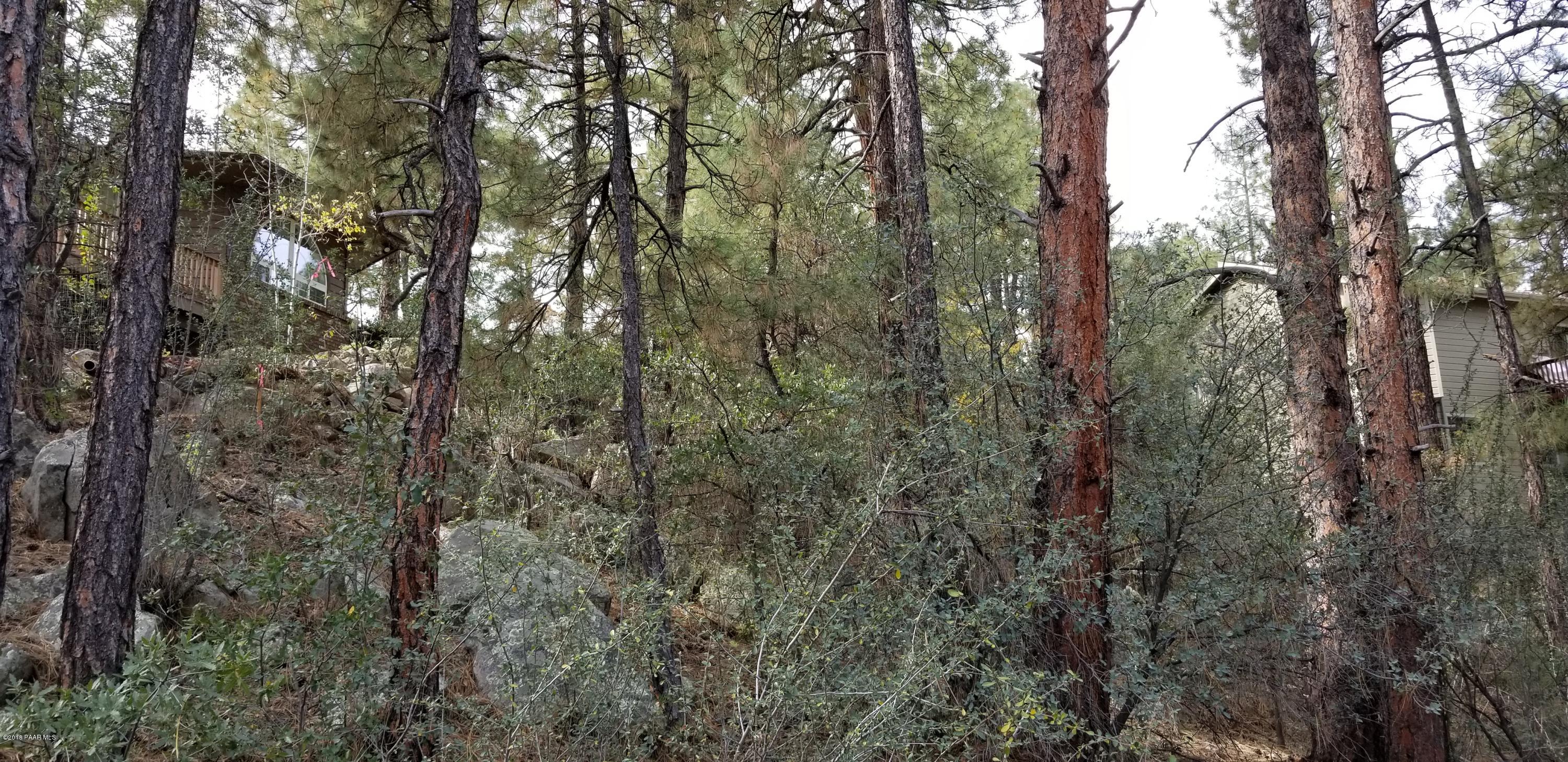 1161 West Timber Ridge Road Prescott, AZ 86303 - Photo 8 of 23 20181029_100822