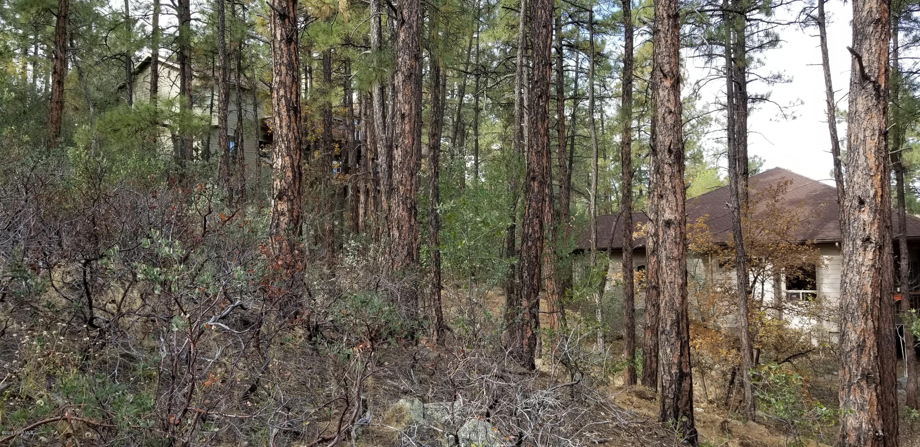 1161 West Timber Ridge Road Prescott, AZ 86303 - Photo 10 of 23 20181029_100908