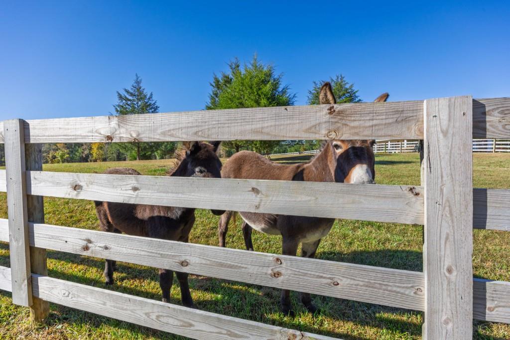 125 Perry Road Rydal, GA 30171 - Photo 133 of 139 a view of a wooden fence