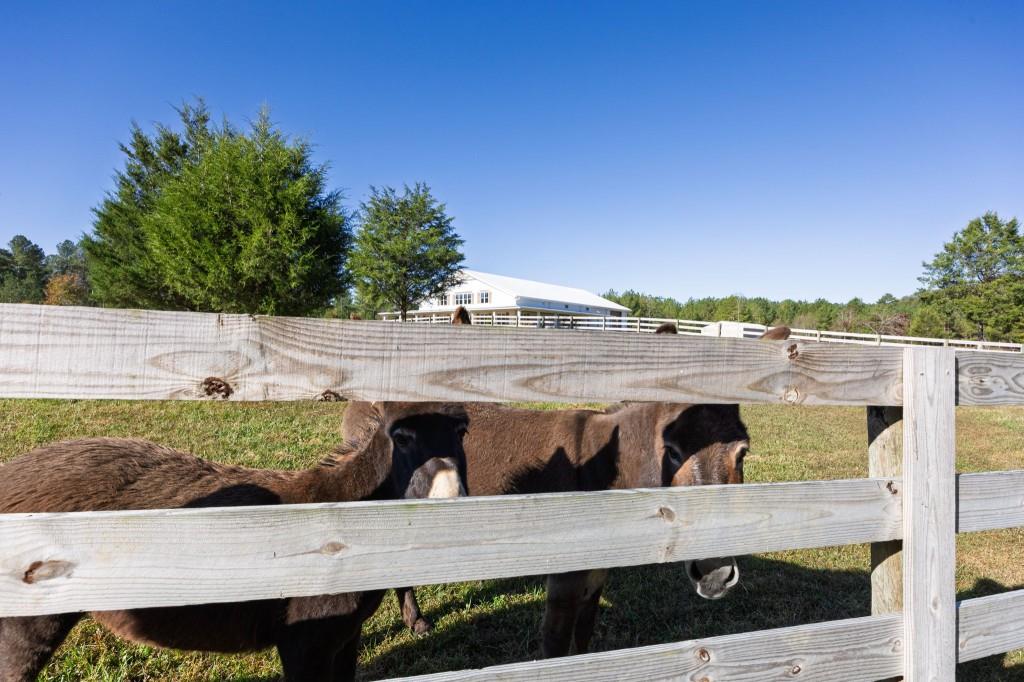 125 Perry Road Rydal, GA 30171 - Photo 134 of 139
