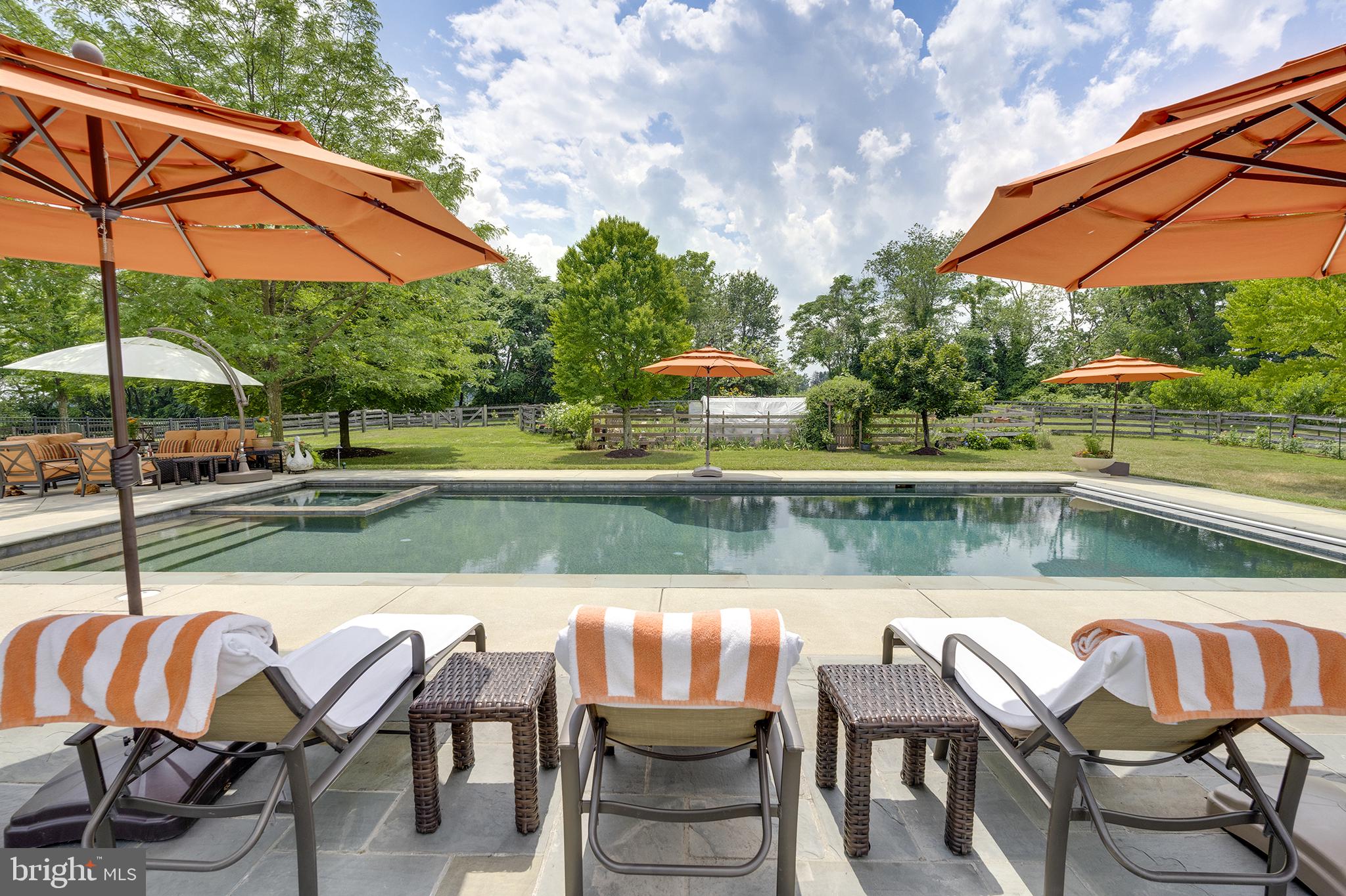 26100 Mullinix Mill Road Mount Airy, MD 21771 - Photo 61 of 99 Sunny oasis with poolside relaxation.