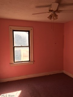 3304 Cedarbrook Road Cleveland, OH 44118 - Photo 4 of 11 Gallery Image 4